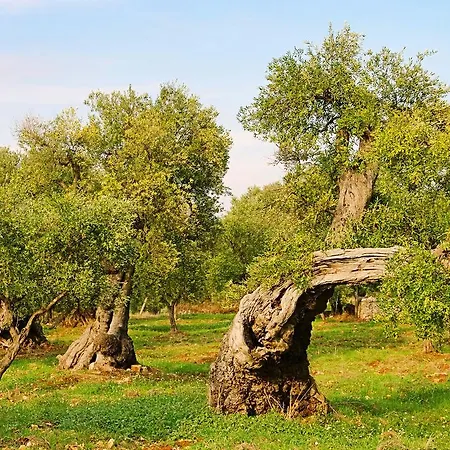 Luxury Puglia Italy فيلة بولسانو